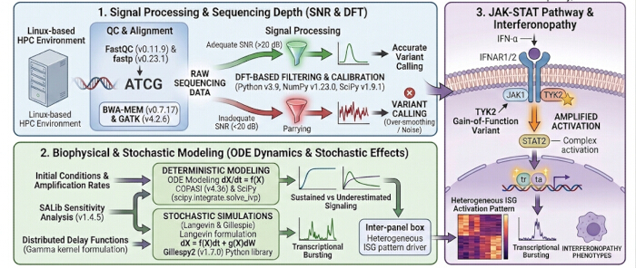figure-protocol-3 Signal processing sequence depth diagram; HPC setup, DNA sequencing, JAK-STAT pathway modeling.