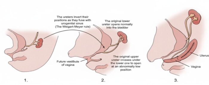 figure-results-1