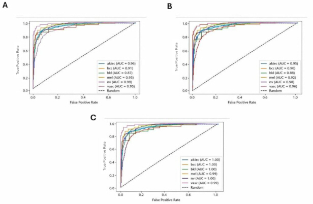 figure-protocol-13 ROC curve analysis; multiple classifiers; diagram comparison; AUC metrics for performance.