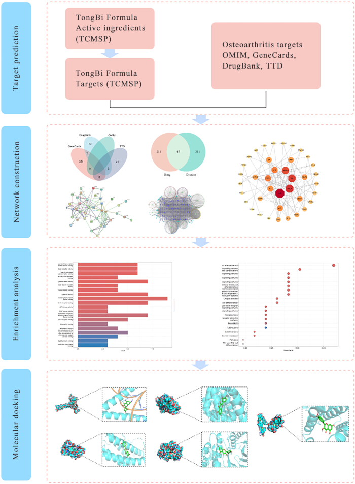 TongBi Formula analysis: target prediction flowchart, network construction, enrichment analysis, docking.