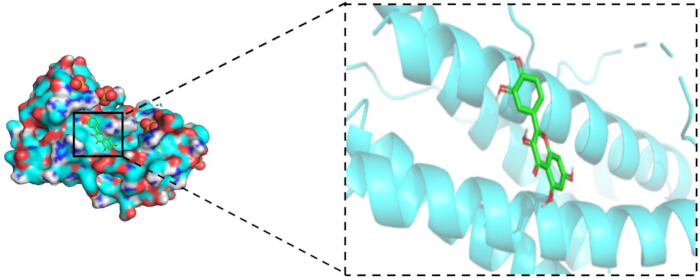 Protein-ligand interaction, molecular structure diagram, highlighting binding site in protein modeling.