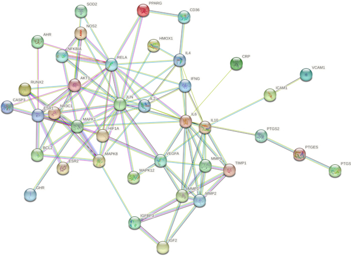 Protein interaction network diagram; visualizing molecular interactions, nodes, edges, pathways.