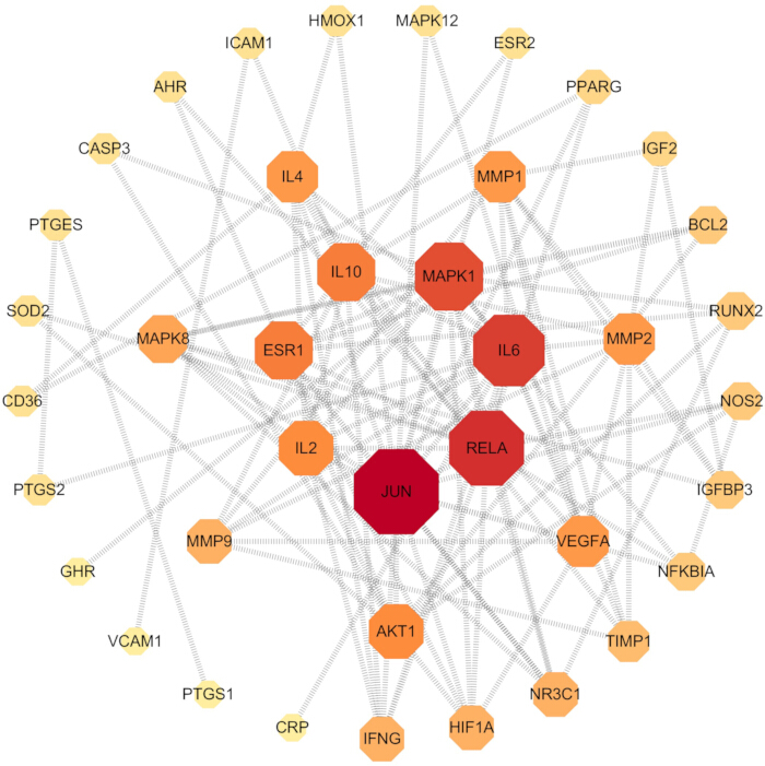 Gene interaction network diagram showing cytokine signaling pathways, highlighting JUN, IL6, RELA nodes.