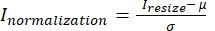 Normalization equation: I_normalization = (I_resize - μ) / σ. Statistical data processing.