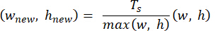 Image resizing formula \( (w_{\text{new}}, h_{\text{new}}) = \frac{T_s}{\max(w, h)}(w, h) \).