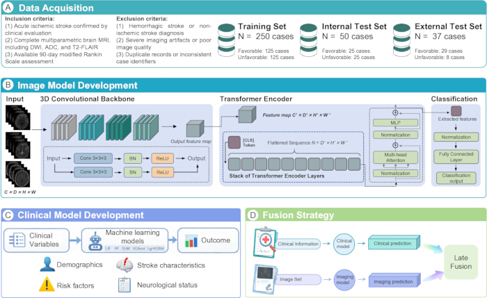 figure-protocol-1 Stroke prediction model diagram; data acquisition, image model development, clinical model, fusion strategy.