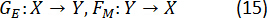 figure-protocol-18 Functions and mappings diagram GF:X→Y, FM:Y→X, mathematical transformations in equations.