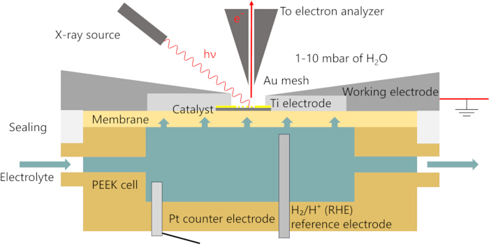 figure-results-3 X-ray photoelectron spectroscopy diagram, showing PEEK cell setup for catalyst analysis and electron emission.