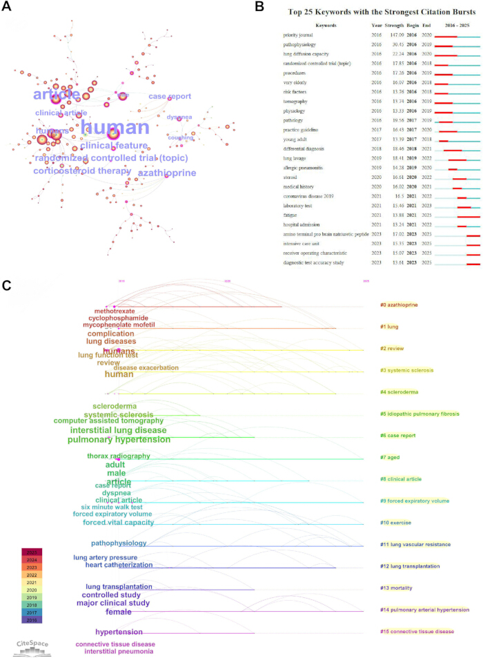 figure-results-6 Keyword cluster analysis, citation burst, and connectivity diagram in pulmonary research analysis.