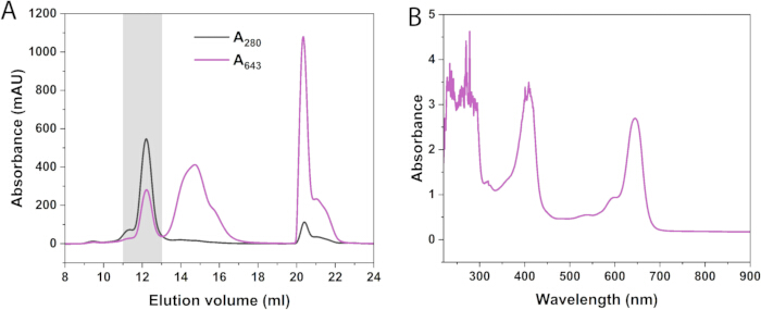 figure-results-3 Chromatography results; absorption spectra; elution volume vs absorbance; wavelength vs absorbance.