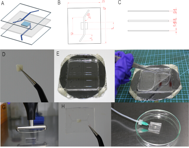 figure-protocol-1 Microfluidic device assembly and testing, diagram with component dimensions, fabrication, fluid dynamics.