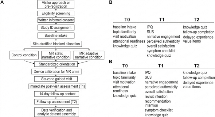Flowchart of mixed reality study design: participant conditions, assessments, and follow-up timeline.