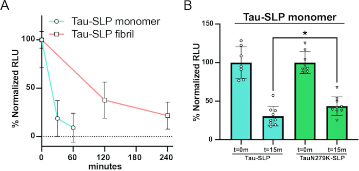 Tau-SLP stability analysis; line chart and bar graph; protein degradation over time; comparative results.