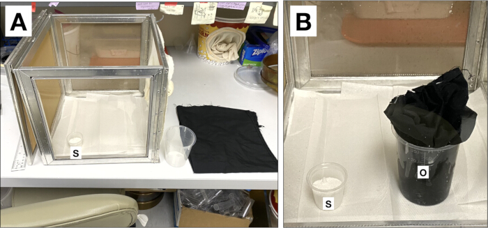 Experimental setup for optical absorption: materials include silica (S), object (O) in container (diagram).