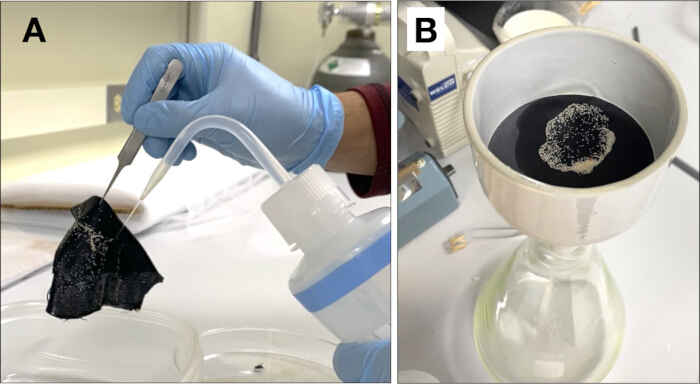Hydrogel synthesis experiment; preparation and filtration setup for polymerization process.