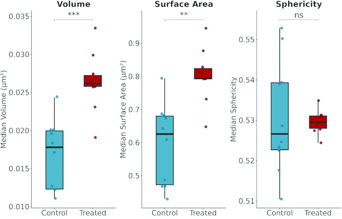 figure-results-3 Box plots comparing cell volume, surface area, and sphericity in control vs. treated samples.