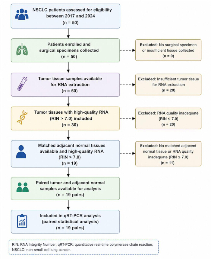 figure-results-1 NSCLC RNA extraction flowchart; RIN criteria; qRT-PCR analysis; tumor and normal tissue pairing.