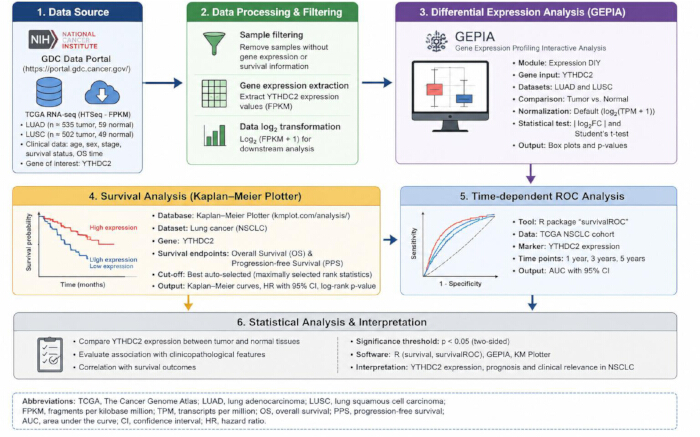 figure-results-2 Data processing workflow; genes YTHDC2, Kaplan-Meier plot, ROC analysis; NSCLC research.