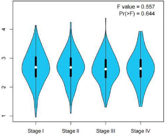 figure-results-5 Violin plot, statistical analysis, stage comparison, F value 0.557, Pr(>F) 0.644, data distribution.
