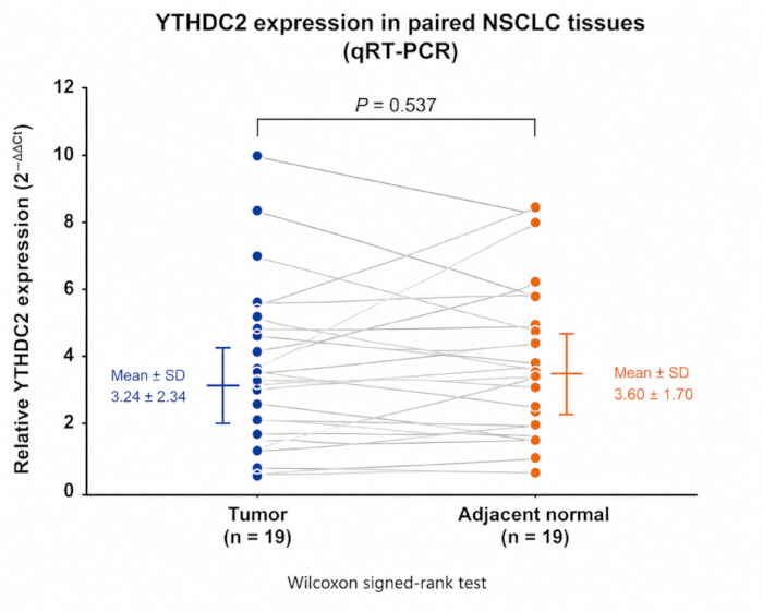 figure-results-8 Relative YTHDC2 expression (qRT-PCR) in paired NSCLC tissues; diagram showing tumor vs normal data.