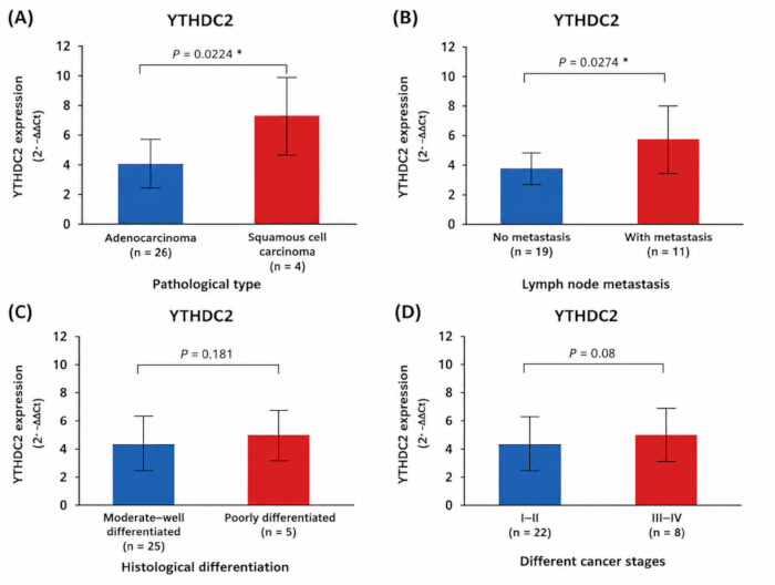 figure-results-9 YTHDC2 expression bar charts, pathological types, metastasis, differentiation, cancer stages, p-values.