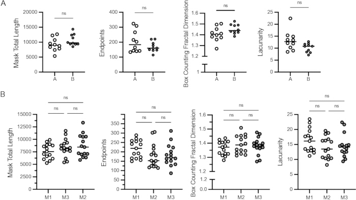 figure-results-2 Scatter plot analysis; Mask length, endpoints, fractal dimension, lacunarity; comparative graph.