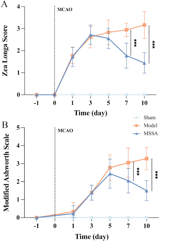 figure-results-1 MCAO effect on Zea Longa Score, Modified Ashworth Scale; graph; neurological, motor function evaluation.