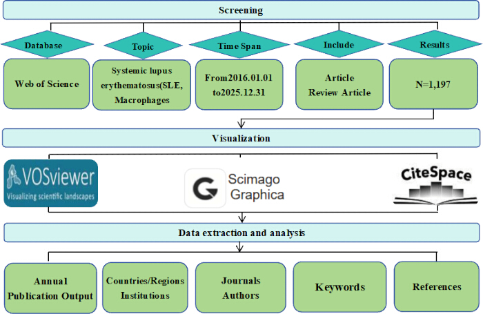 figure-results-1 Systemic lupus erythematosus research workflow diagram, screening to data analysis, visual tools included.