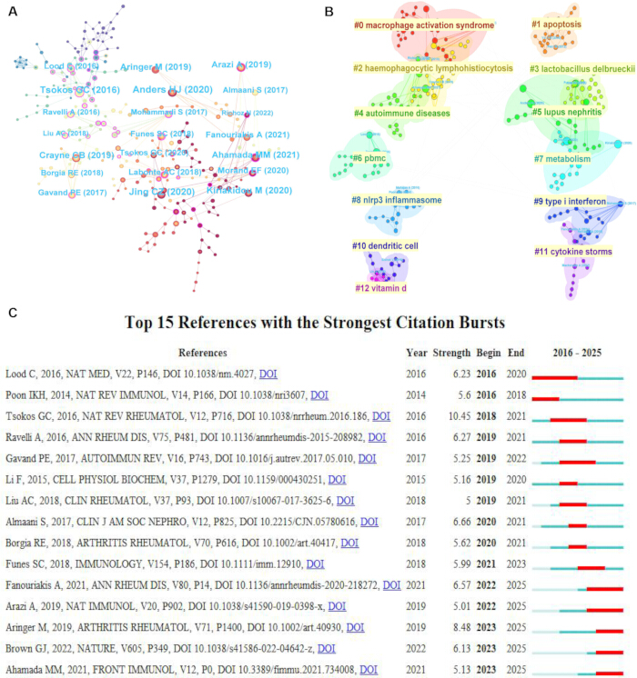figure-results-8 Bibliometric analysis: citation network diagram, burst term clusters, strongest citation references.
