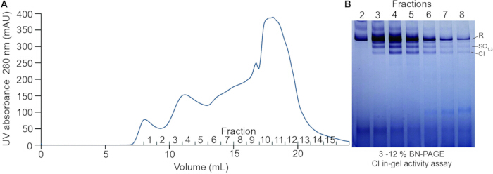 figure-results-1 figure-results-1