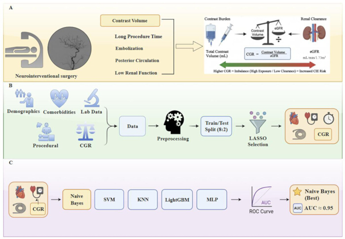 figure-results-1 Neurointerventional surgery process; contrast-related factors; data analysis; predictive modeling.