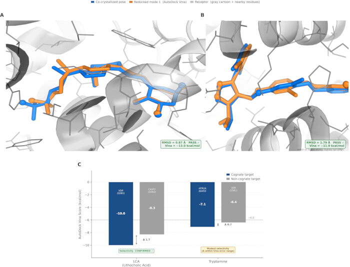 figure-results-10 Molecular docking analysis; diagrams A and B show ligand poses, chart C displays binding scores.