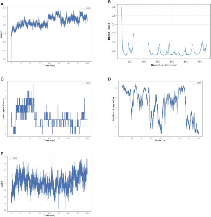 figure-results-11 Molecular dynamics analysis graphs; A: RMSD; B: RMSF; C: Hydrogen bonds; D: Radius of gyration; E: SASA.
