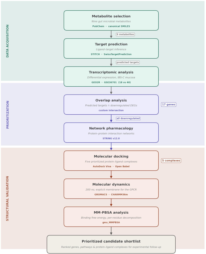 figure-results-1 Metabolite analysis flowchart; shows data acquisition, target prediction, and molecular docking.
