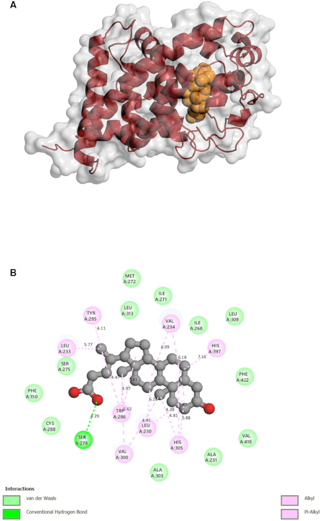 figure-results-5 Protein-ligand interaction diagram; protein structure, ligand binding, molecular interactions chart.