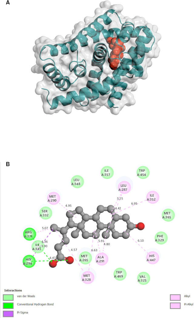figure-results-6 Protein-ligand interaction diagram; 3D protein structure, molecular docking analysis, van der Waals.