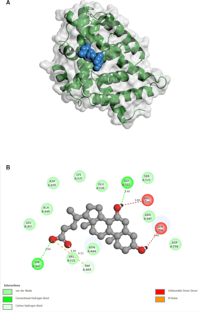 figure-results-7 Protein-ligand interaction; molecular structure and bonding diagram; educational chemistry use.