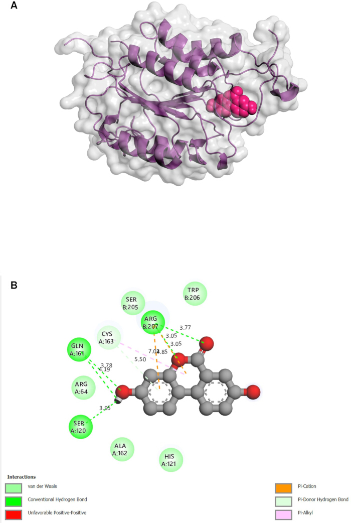 figure-results-8 Protein-ligand interaction, molecular diagram with hydrogen bonds, structural analysis.