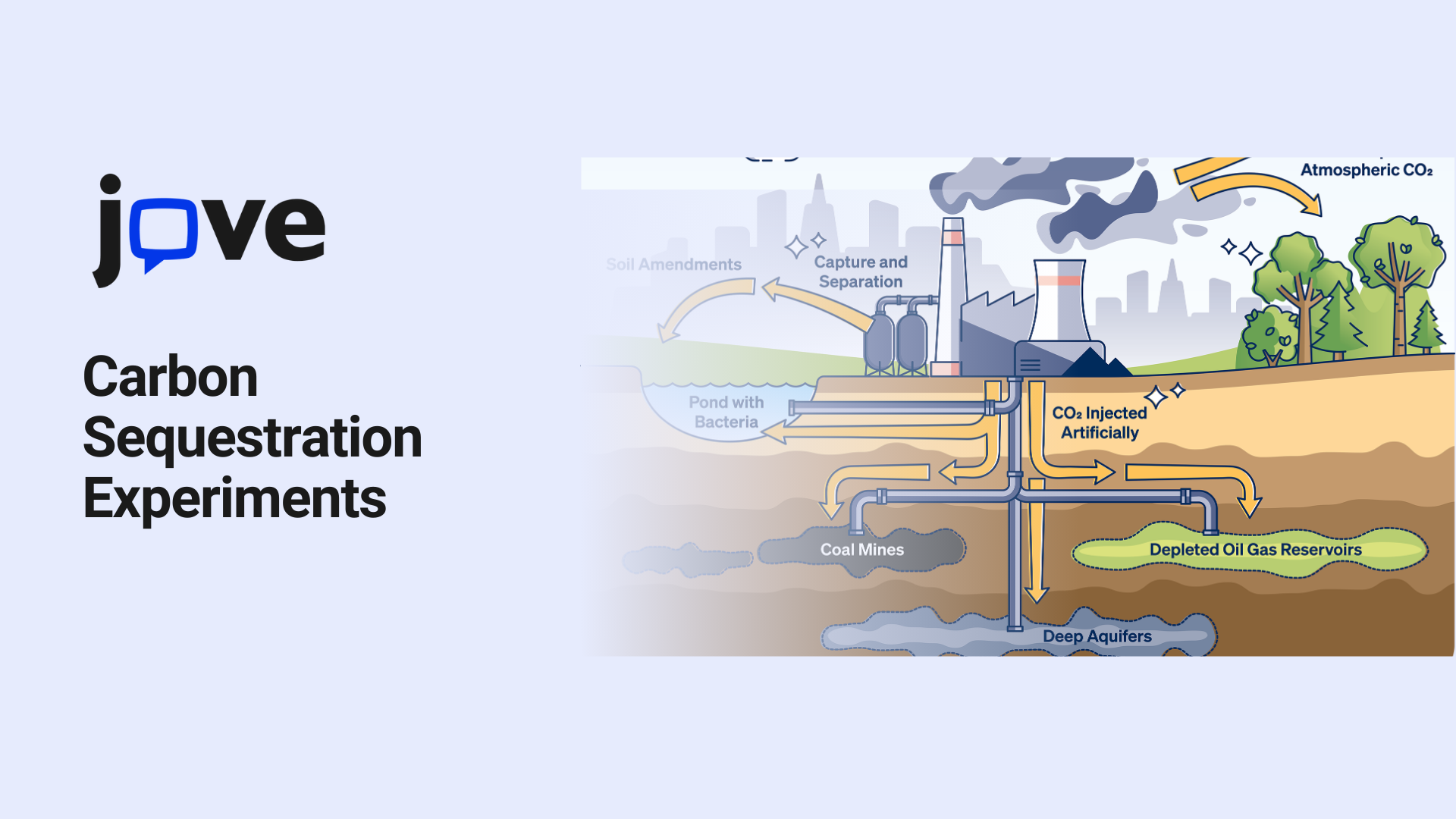 Studying Carbon Sequestration and COâ‚‚ Uptake in Plants