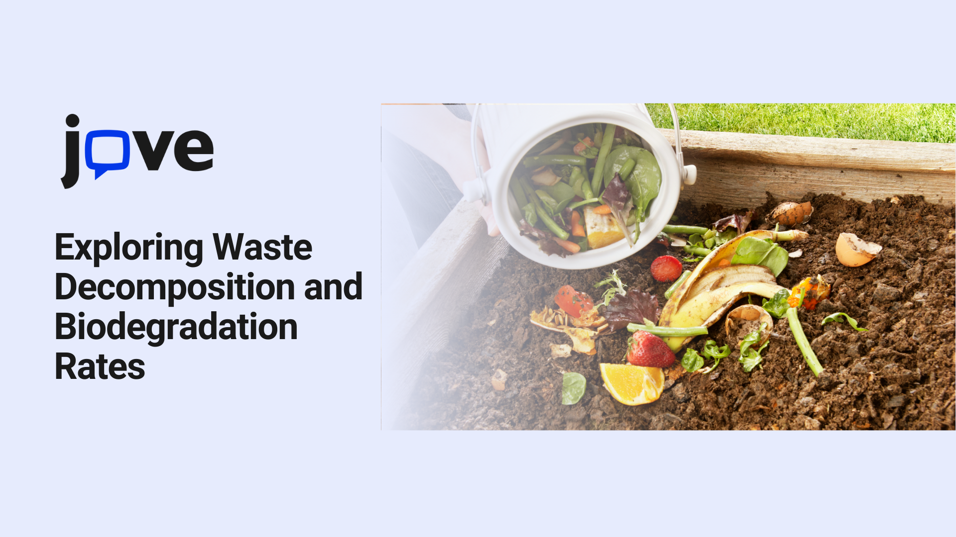 xploring Waste Decomposition and Biodegradation Rates