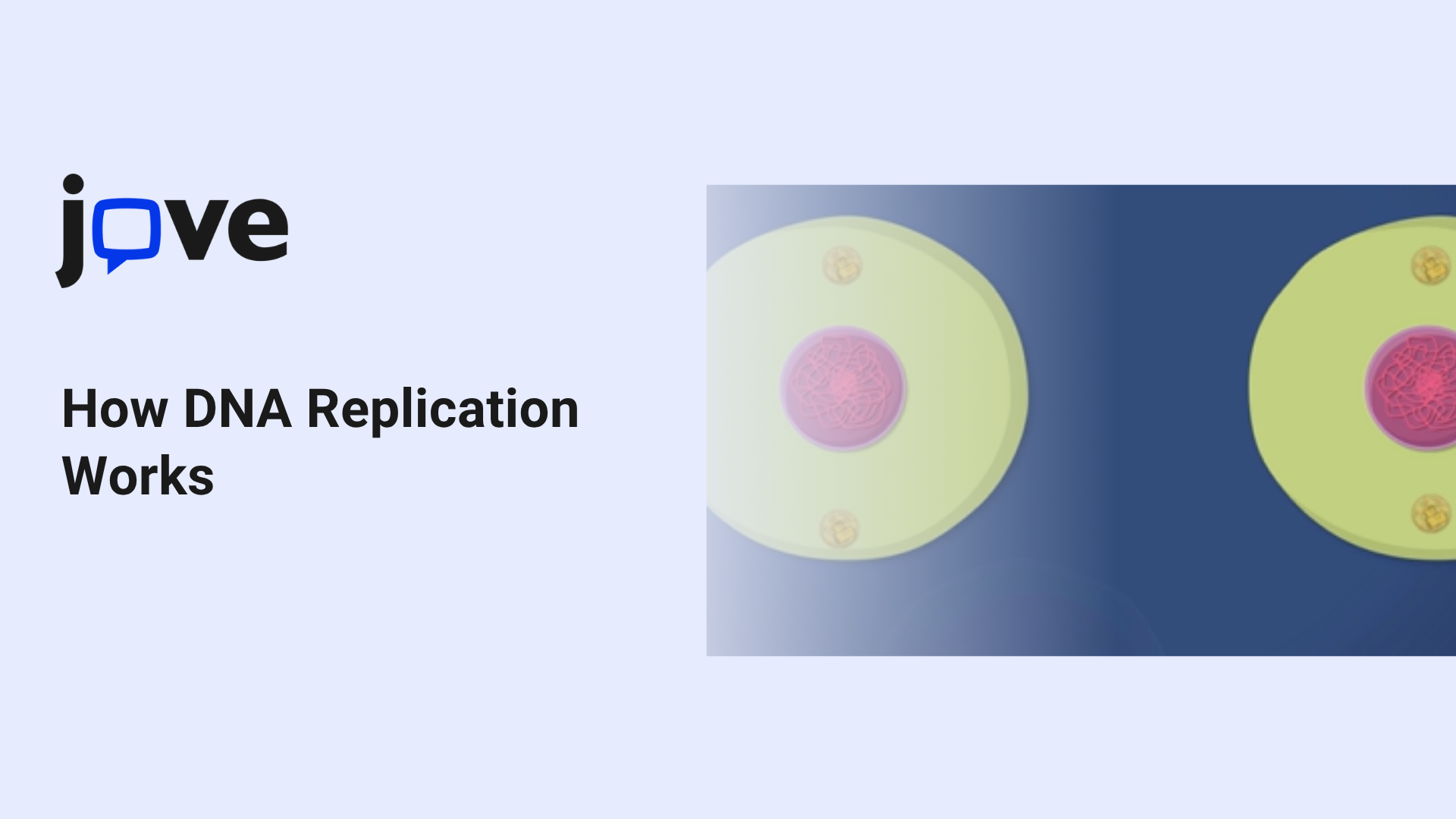 How DNA Replication Works: A Simple Guide for Young Scientists