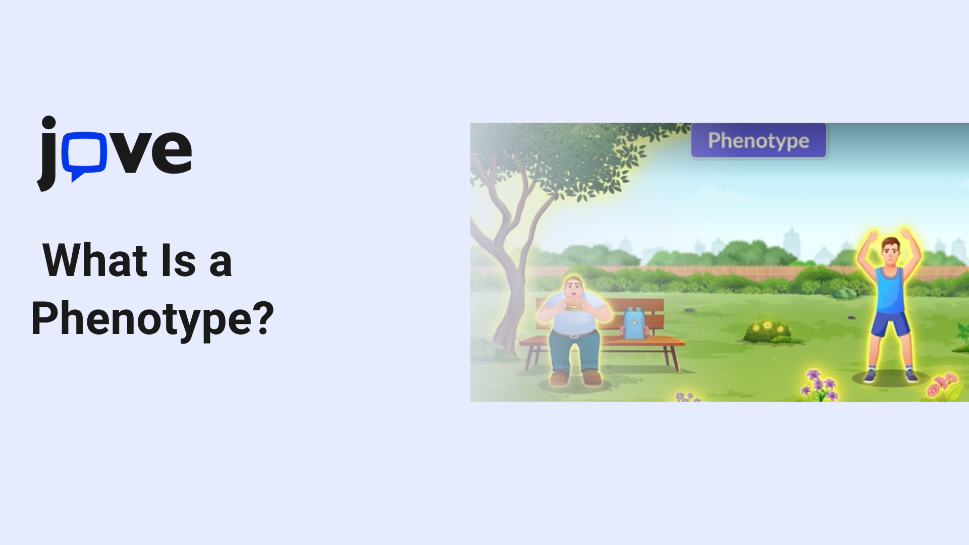 What Is a Phenotype? Teaching Observable Traits with Examples