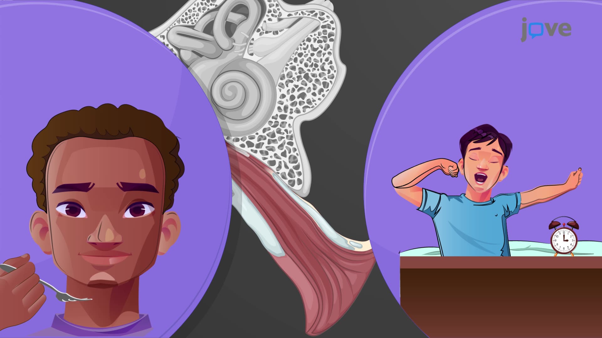 Inner ear anatomy illustration with students reacting to sound and an alarm clock